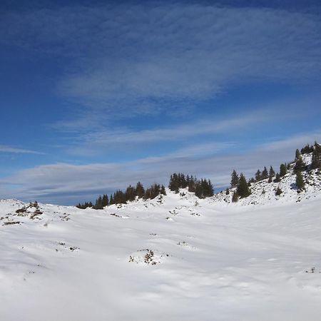 Le Chalet Theys Eksteriør billede