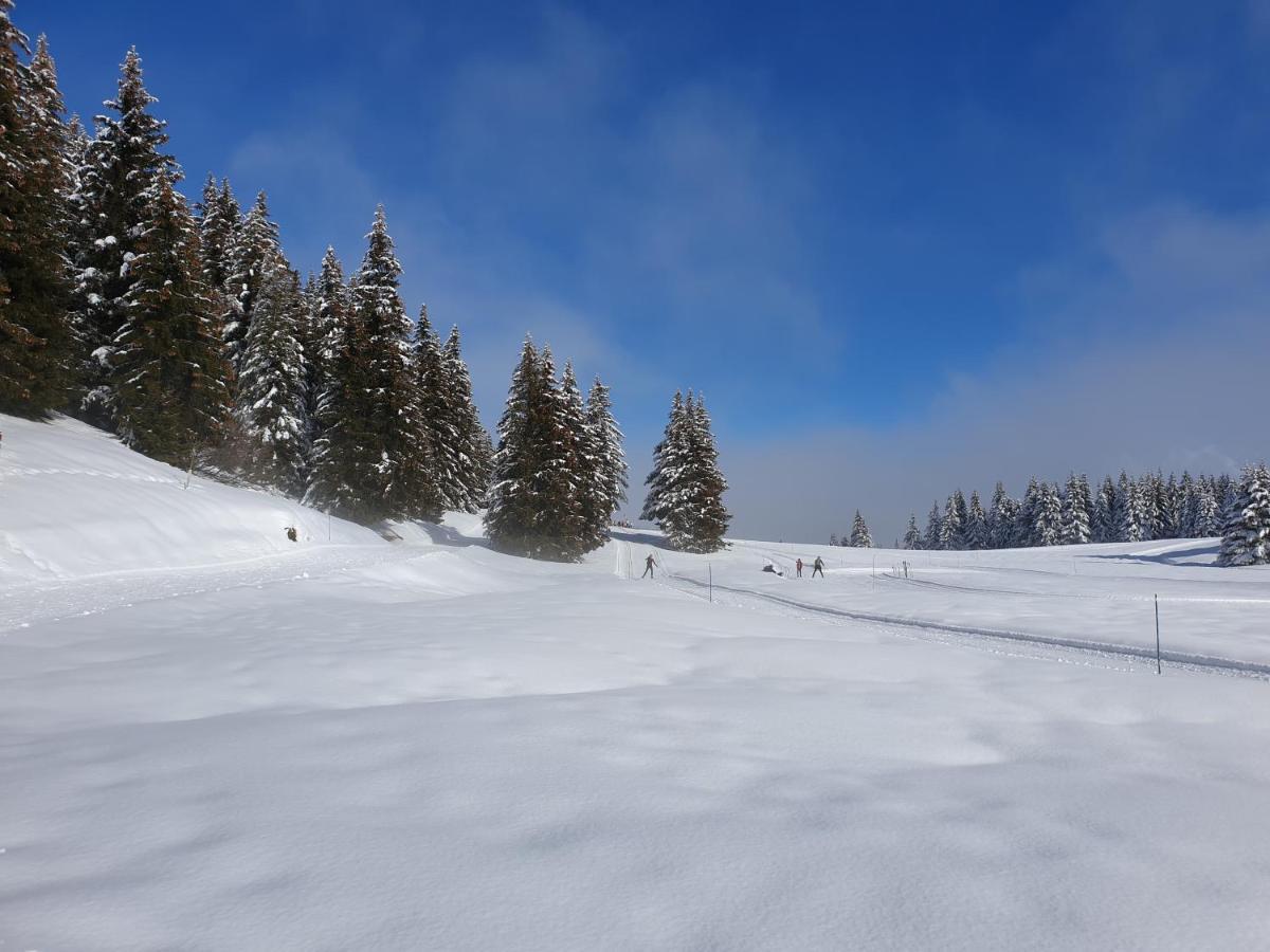 Le Chalet Theys Eksteriør billede